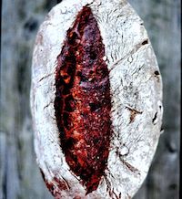 Chocolate-Chestnut Sourdough Bread