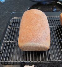 Whole Wheat Bread With Wheat Germ And Rye