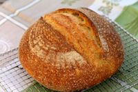 Semolina Sourdough Boule