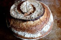 City Bread, In White Spelt