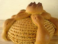 Pan De Muerto Cactus (Bread Of The Dead Cactus)