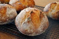 Sourdough Mini-Rolls