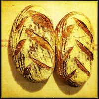Light Rye With Caraway