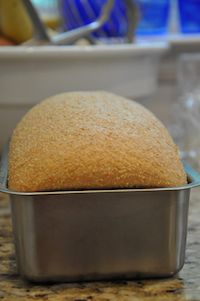 Anadama Bread