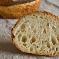 Durum Bread