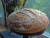 Ricotta Cheese Potato Sourdough Miche