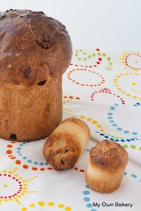 Panettone