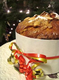 Chocolate Orange Panettone