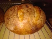 Potato Garlic Bread (Sour Dough)