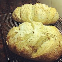 Chewy Tangy Bread