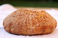 Country Boule With Spelt & Sourdough