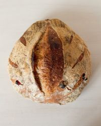 Cranberry Wheat Bread