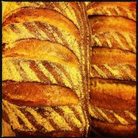 Sourdough With 20% Barley Flour