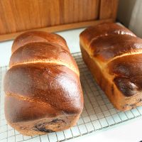 Sourdough Babka