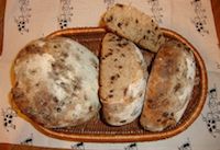 Whole Wheat Sourdough With Mini Chocolate Chips