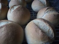 Rye Rolls