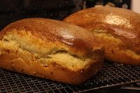 Cheesy Sourdough Brioche