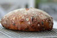 Sourdough With Walnuts And Raisins