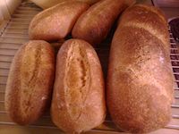 Whole Wheat Italian Bread (Sourdough)