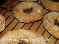 Onion And Poppy Seed Bialys