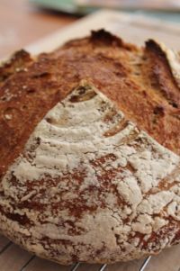 Amarnath Wheat Sourdough