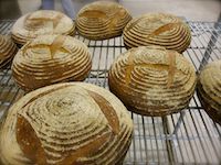 Vermont Grains Bread (with Yeast)