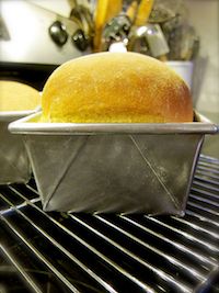 Semolina Sandwich Loaf