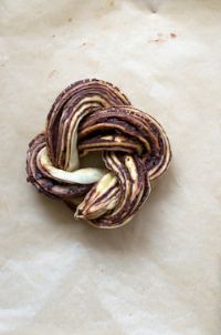 Chocolate Yeast Cake & Roulade