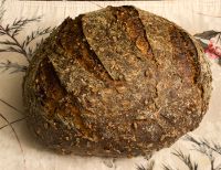 Yeast Water-SD Combo Multi-Grain Miche