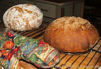 Ken Forkish's Harvest Bread