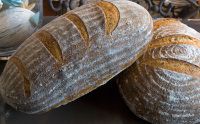 Durum-Kamut Italian Bread