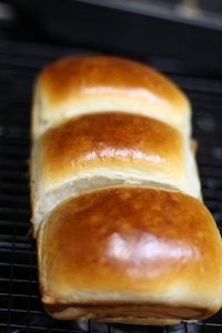 Hokkaido Milk Bread With Tangzhong