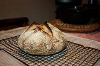 Pane No-knead Con Lievito Naturale