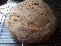 Pane Con Pomodori E Cipolle Rosse