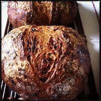 Cheese & Caramelised Onion Bread With A Poolish