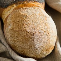 Wheat-Spelt Bread