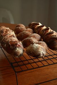 Sourdough Pan D'Epi, Dragon Tails & Baguette