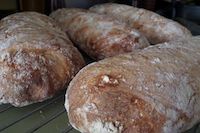 Ciabatta