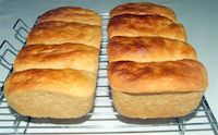 Whole Wheat Maize Bread