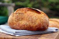 Nine Hour Crusty White Bread