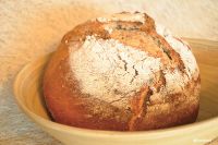 Artisanal Wheat Sourdough Herbal Oregano Bread