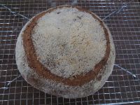 Sourdough Bulgur Loaf