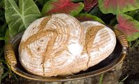 Max's 100 %-Triple-levain-bread With Onions