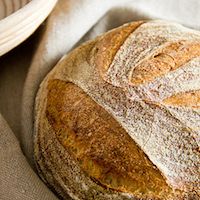 Il Pane Della Muntagnolla