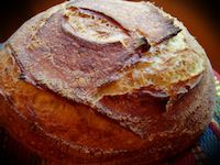 Semolina Sourdough Boule