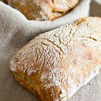 Sourdough Ciabatta