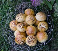 Buttermilk Sour Cream Oat Tangzhong Rolls