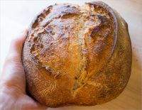 Tartine-style Sourdough Bread With Wheat Germ