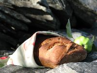 Feral Apple Sourdough