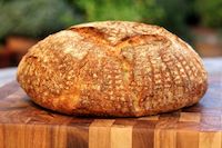 Basic Country Bread With Spelt